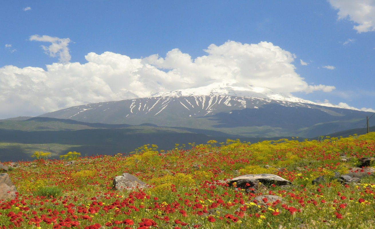 Berg Ararat von Norden