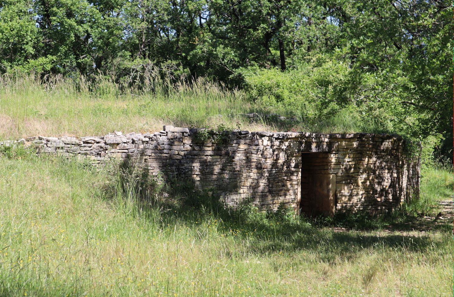 Nekropole im Wald bei Saint-Amant-de-Boixe, 1987 bis 1990 entdeckt und rekonstruiert