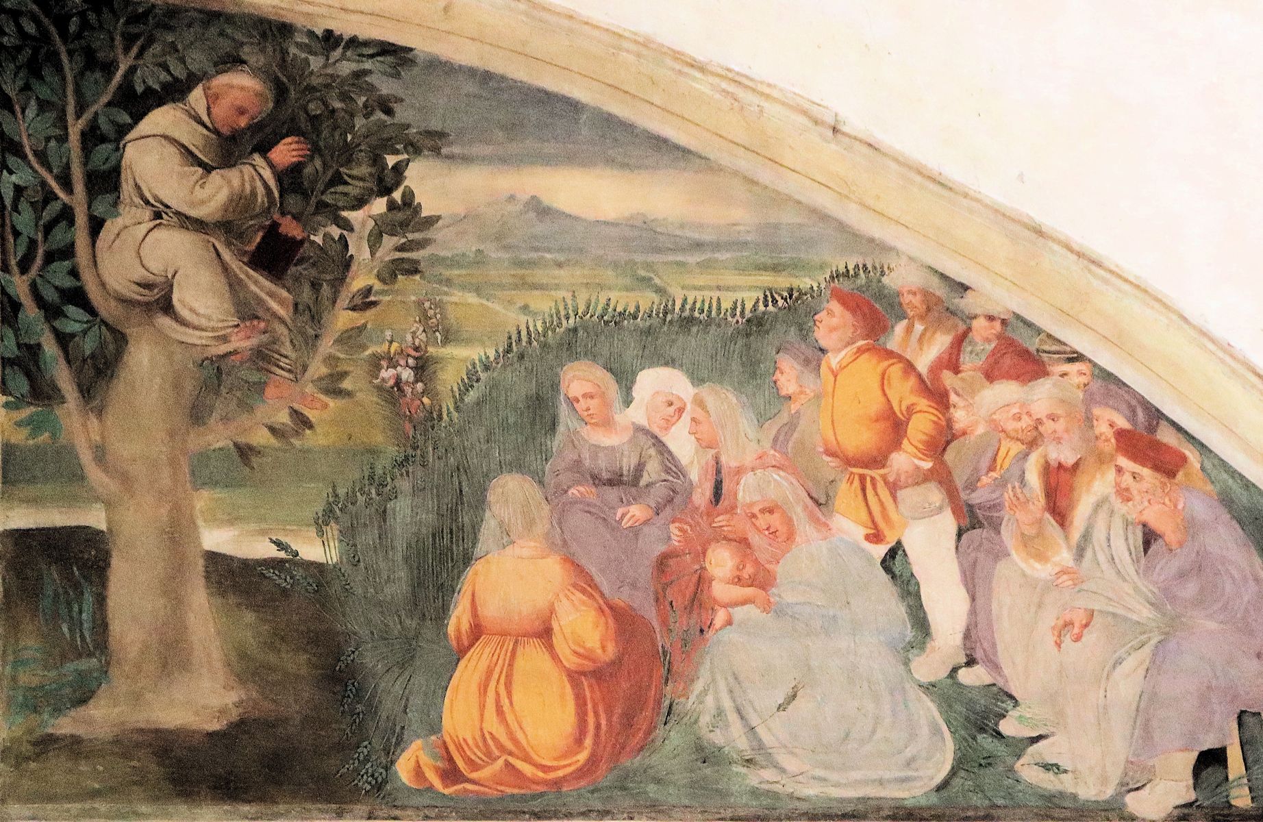 Girolamo Tessari: Antonius predigt vom Nussbaum herab, Fresko, um 1336, im Sanktuarium del Noce in Camposampiero