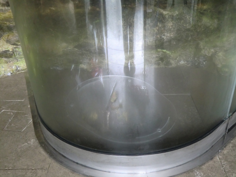 Die Quelle in der Grotte ist heute doppelt mit Plexiglas abgedeckt, sprudelt darunter aber sehr kräftig