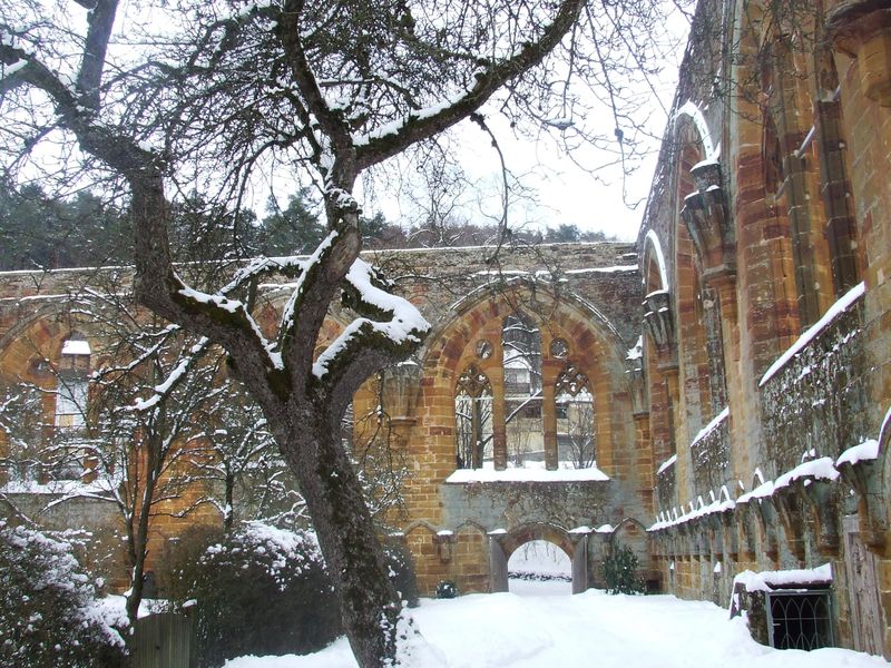 Ruine des Birgittenklosters in Gnadenberg, Gemeinde Berg