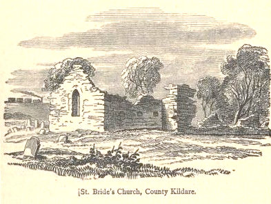 Ruine der Brigid geweihten Kirche in Kilbride / Brideschurch bei Sallins