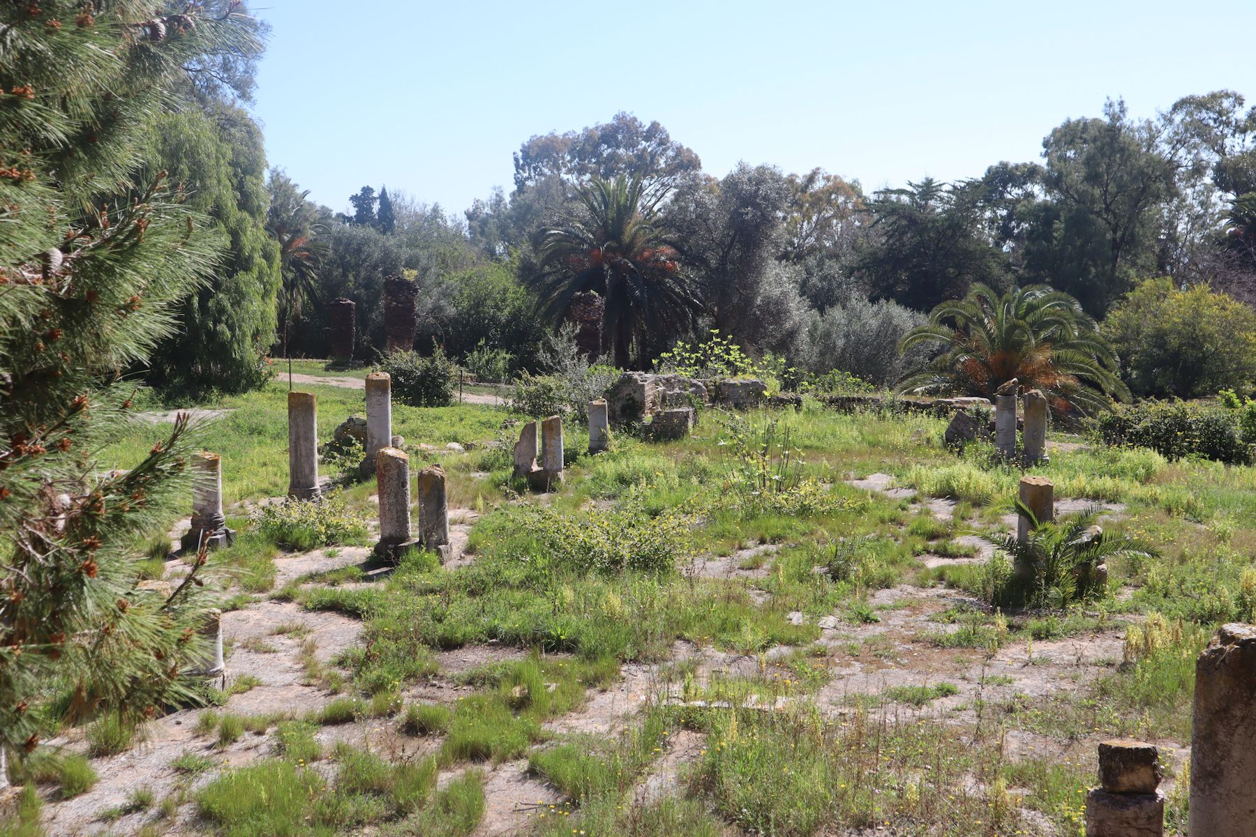 Reste der Dioumes-Basilika aus dem 6. Jahrhundert neben einer früheren Schola in Karthago