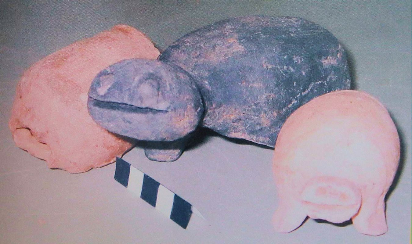 Bei Ausgrabungen gefundene Votivgaben: Schweine, Foto in der Wallfahrtskirche St. Corona in Altenkirchenn