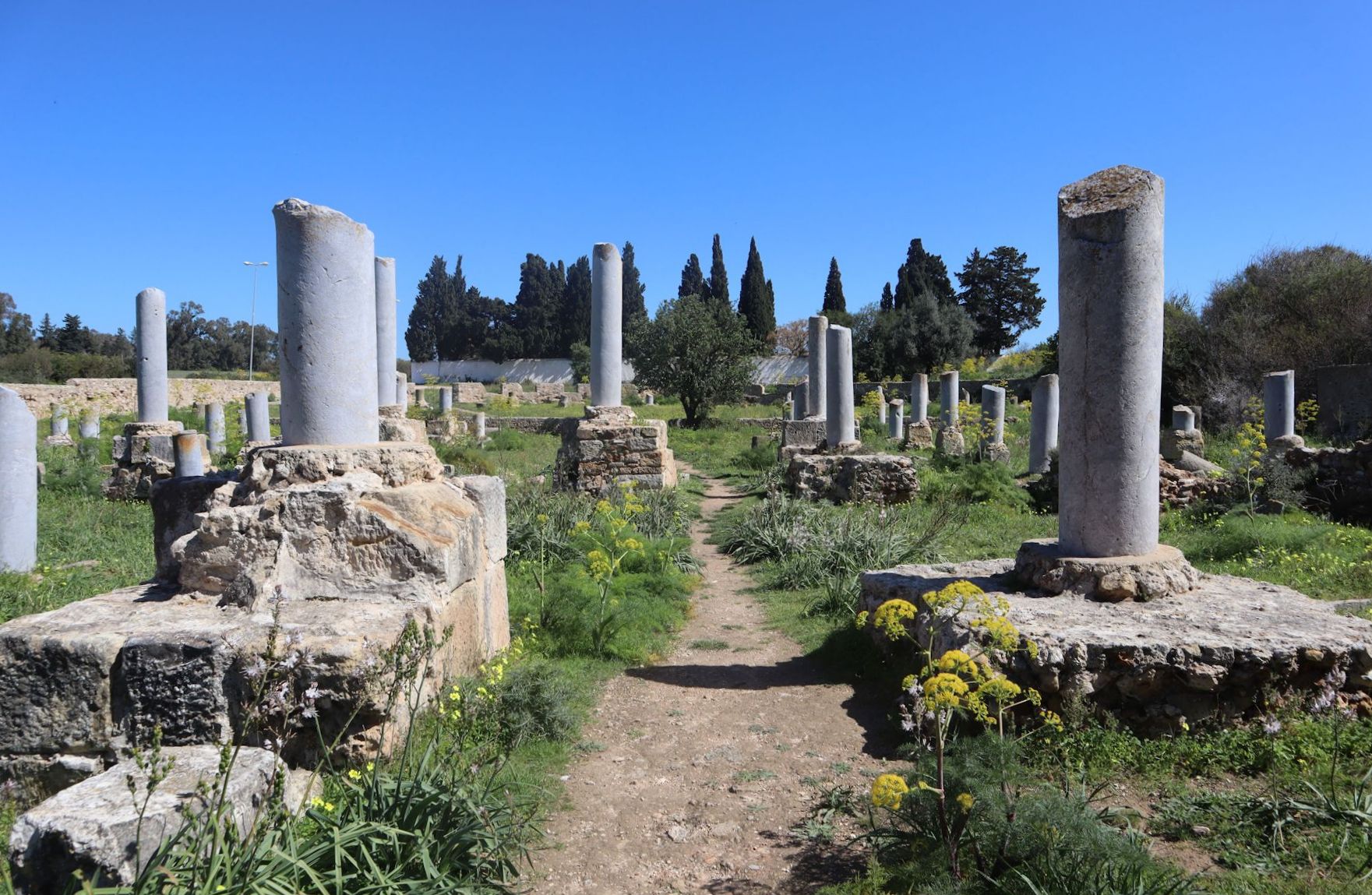 Ruinen der Basilika Damous el Karita in Karthago