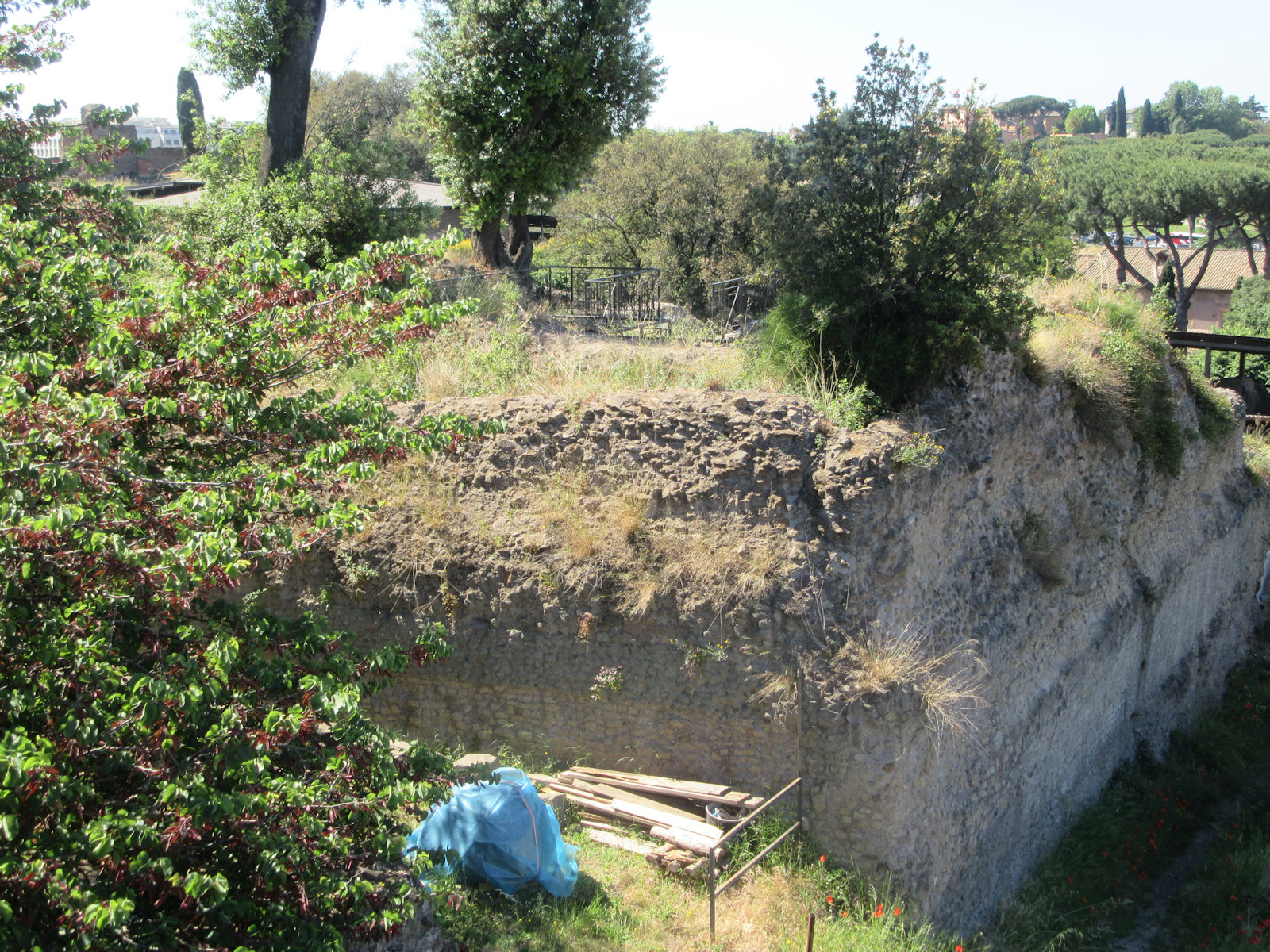 Reste des Tempels der Magna Mater auf dem Palatin in Rom