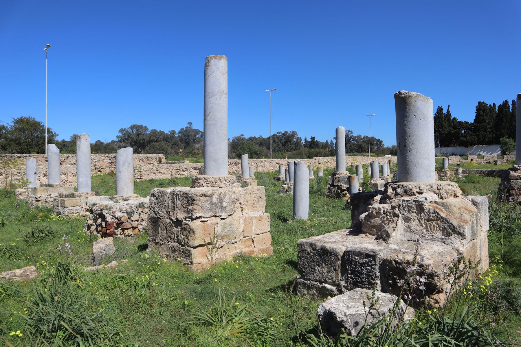 Ruinen der Basilika Damous el Karita in Karthago