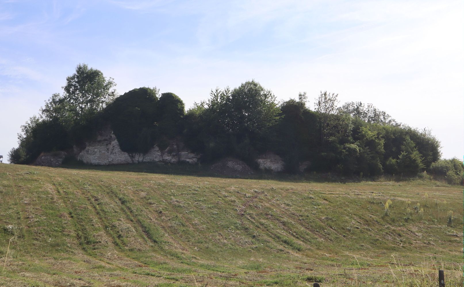 Reste der Burg Wardes in Neuf-Marché