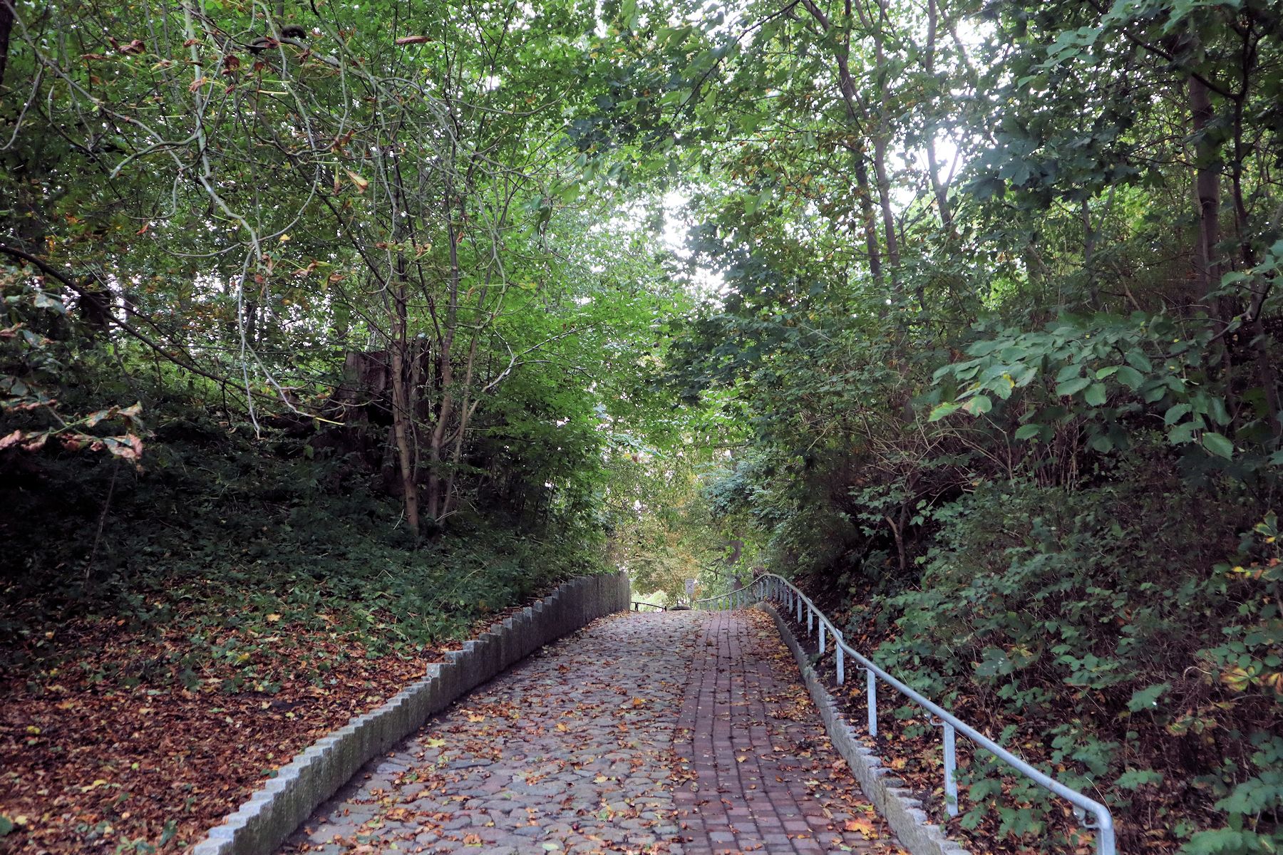 Burgwall der ehemaligen Mecklenburg mit Aufgang zum heutigen Friedhof