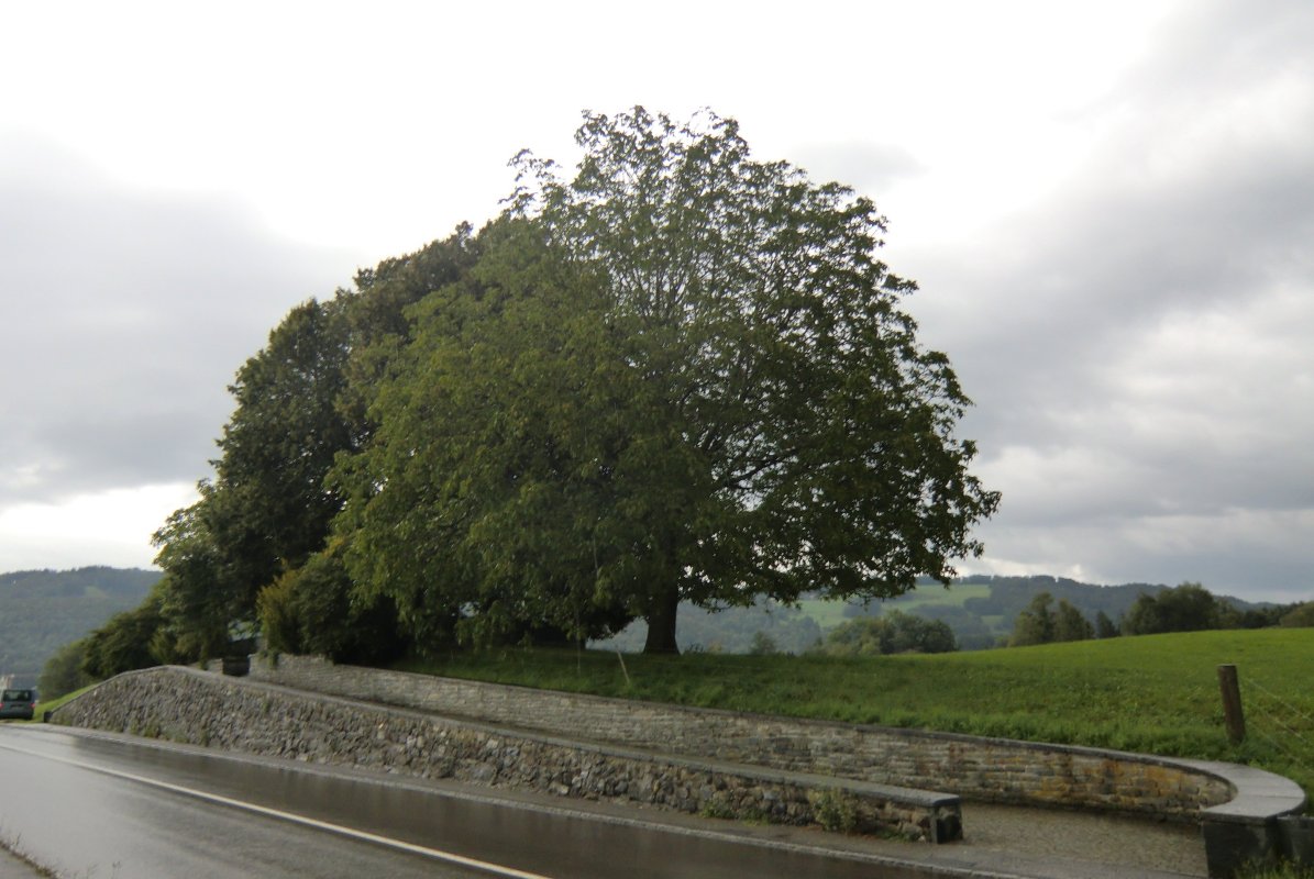 Gedenkstätte an der Stelle des Todes von Zwingli nahe Kappel am Albis