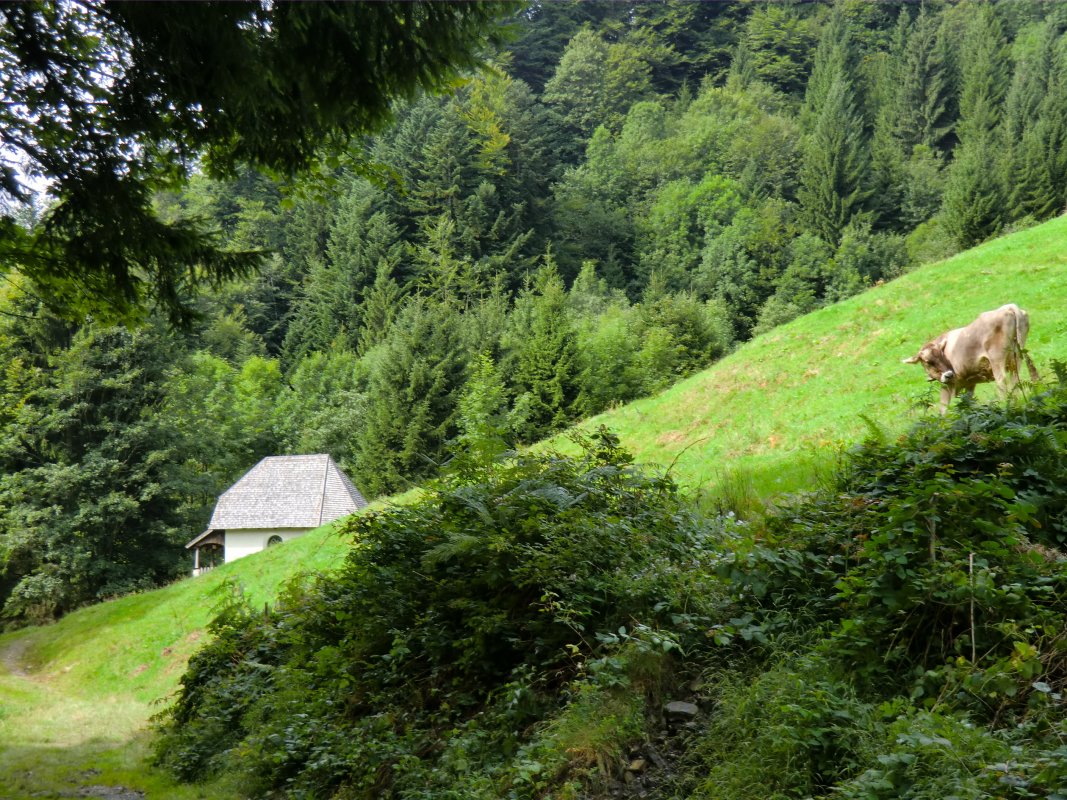 Ilga-Kapelle bei Schwarzenberg