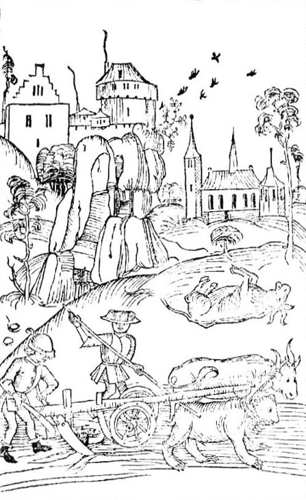Wundertat des heiligen Lucius (Ausschnitt), aus: Thomas Lirer: Schwäbische Chronik, 1486