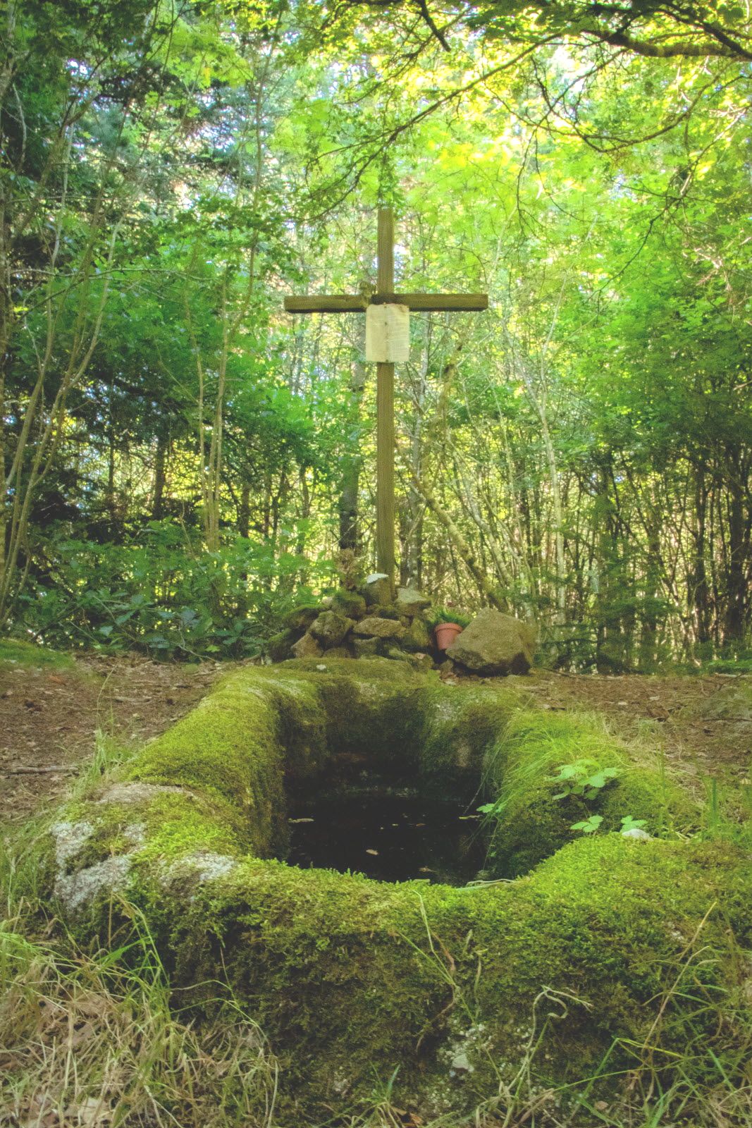 „Sarkophag der Heiligen Margareta”
