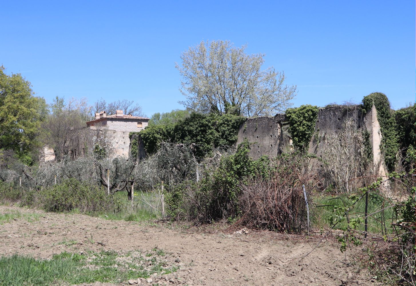 Reste des Palazzo della Cavallerizza in Sant'Arcangelo