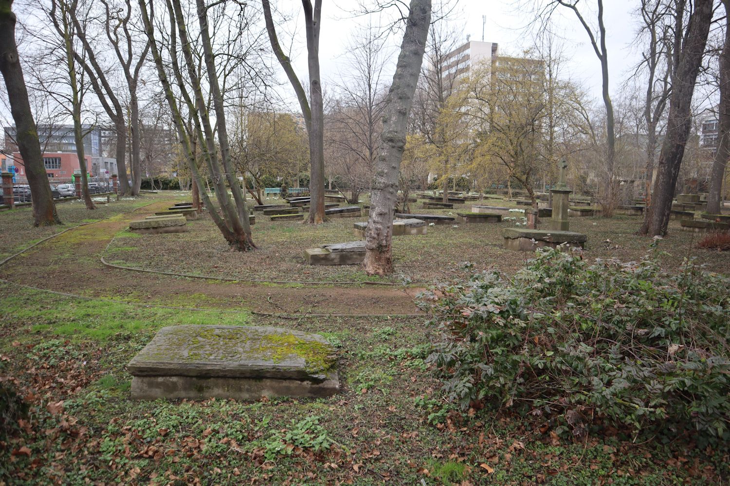 „Geusenfriedhof” in Köln