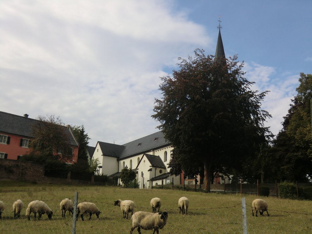 Walburgakirche, ehemalige Klosterkirche, in Walberberg