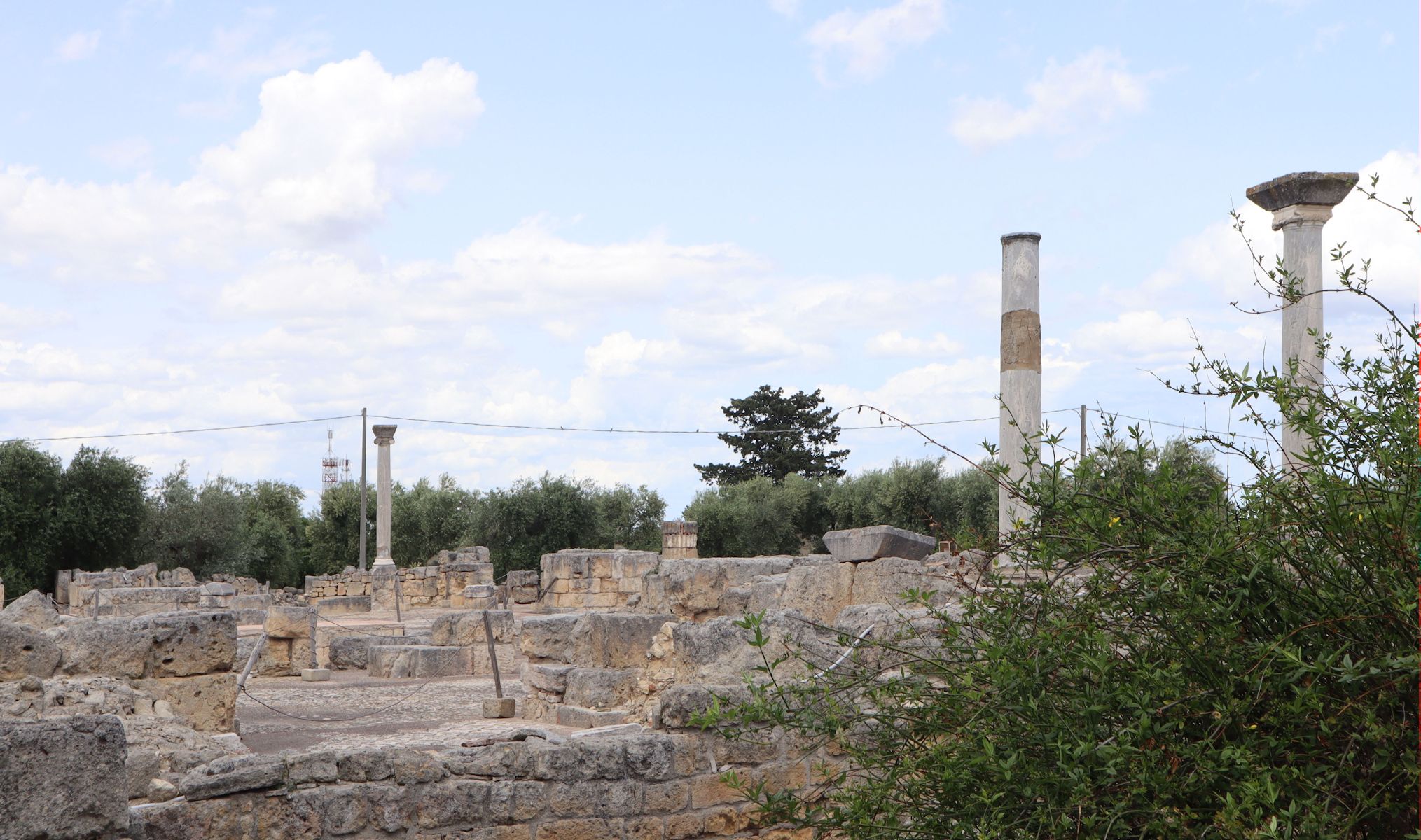 Ruinen der Kathedrale von Canusium, derBasilika San Leucio