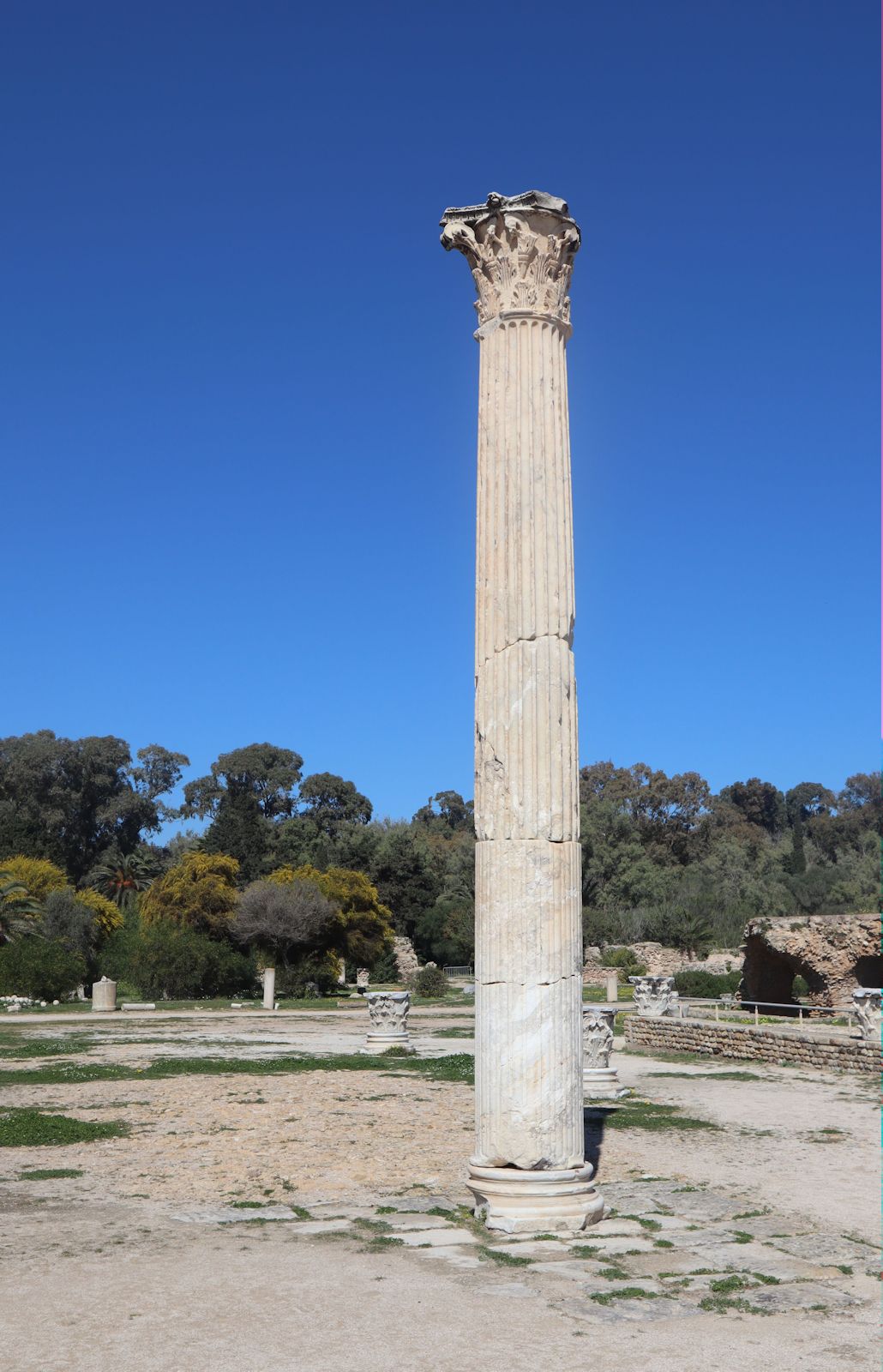 Säule neben den Antoninus-Thermen in den Ausgrabungen von Karthago
