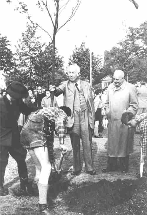 Bundespräsident Prof. Dr. Theodor Heuß pflanzt am ersten deutschen 'Tag des Baumes', am 25. April 1952, im Bonner Hofgarten einen Ahorn