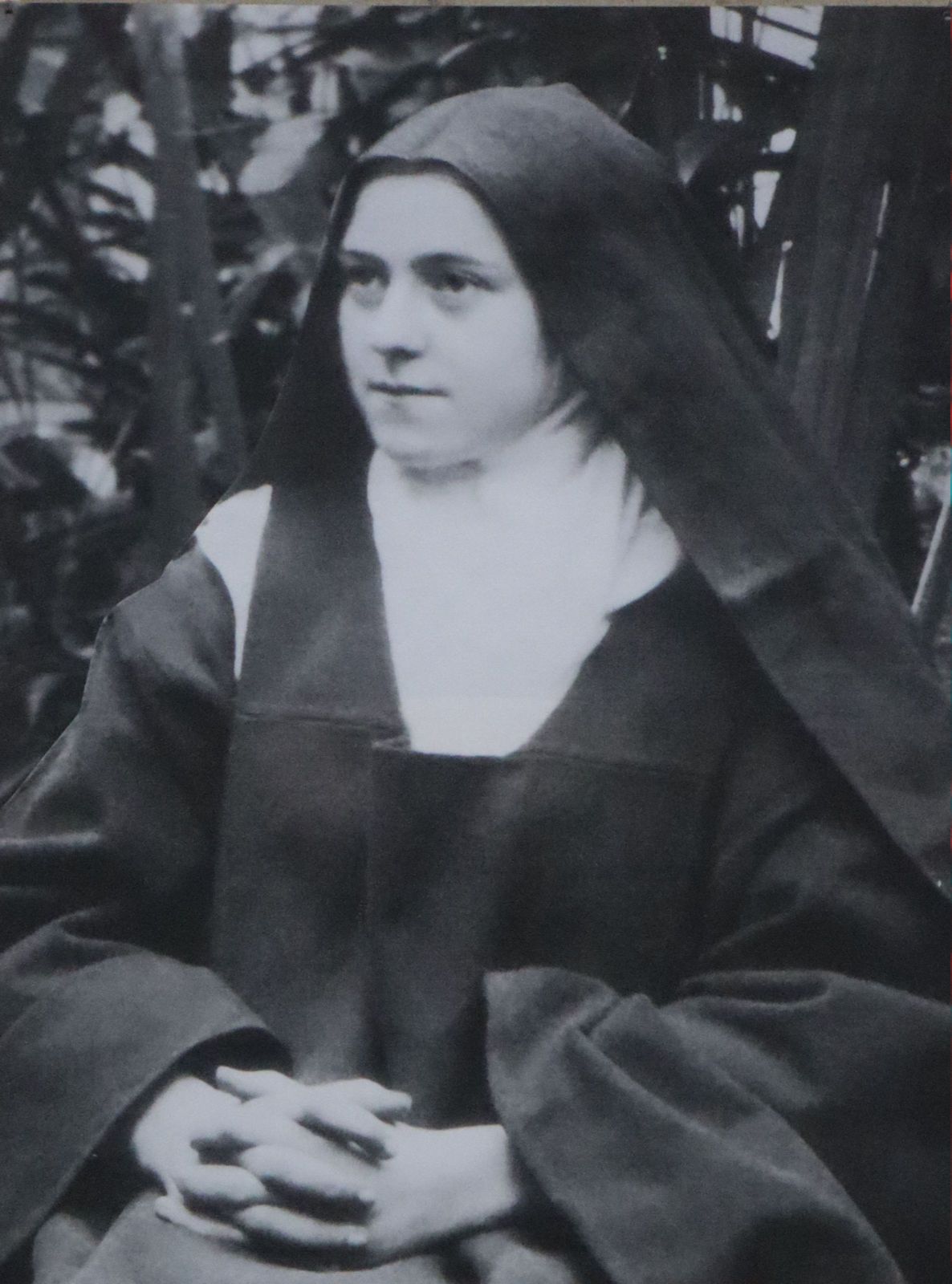 Theresia als Nonne, Bild in der Basilika in Lisieux