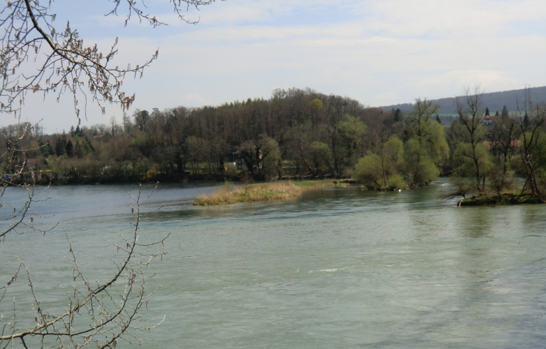 Insel bei Koblenz an der Mündung der Aare (rechts) in den Rhein (links)