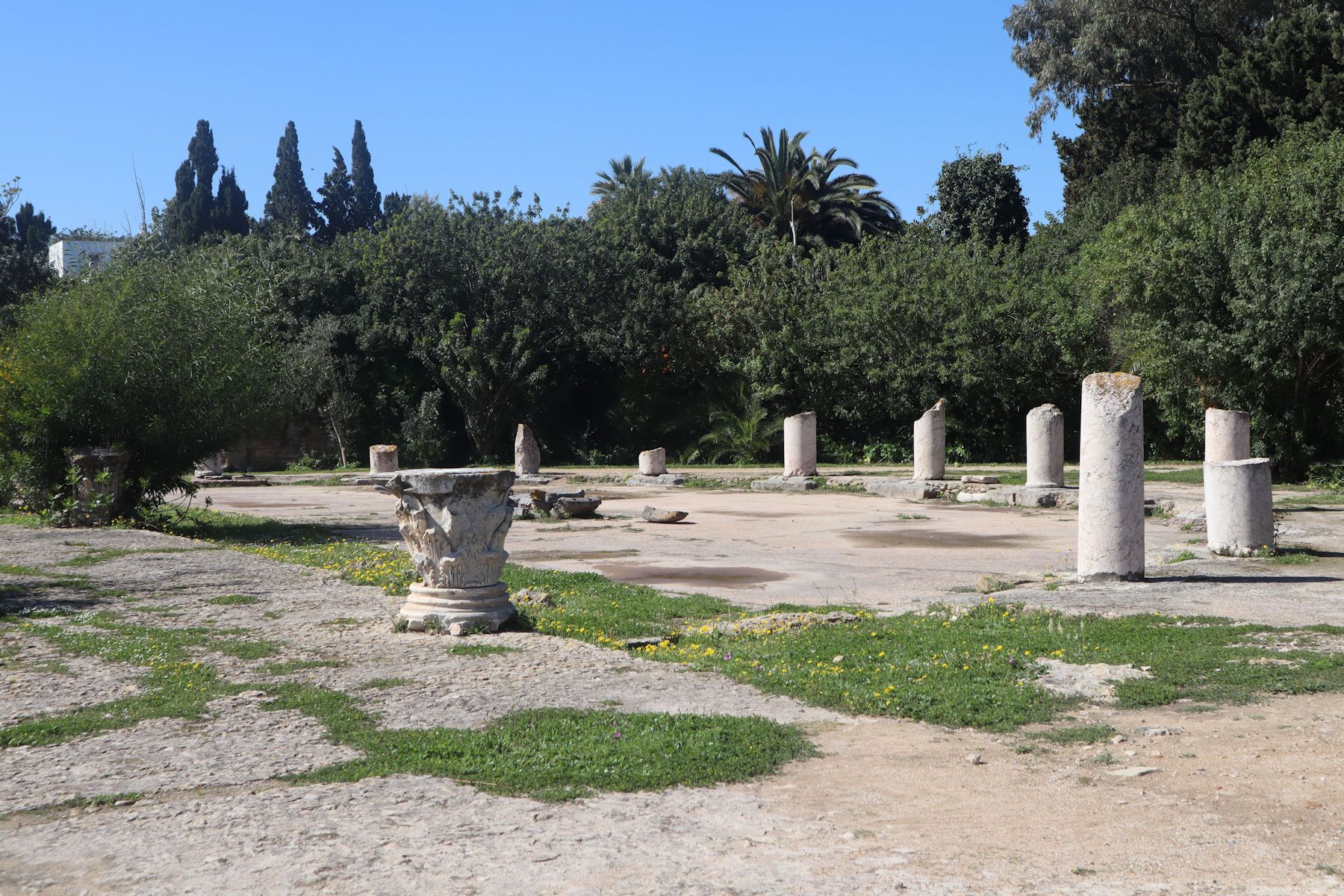 Reste der öffentlichen Latrinen neben den Antoninus-Thermen in den Ausgrabungen von Karthago