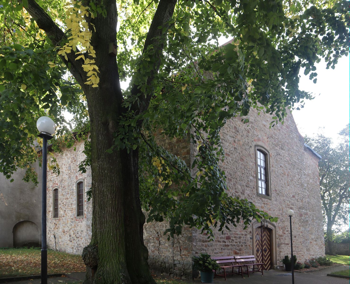 Kirche St. Petri-Kirche in Leitzkau
