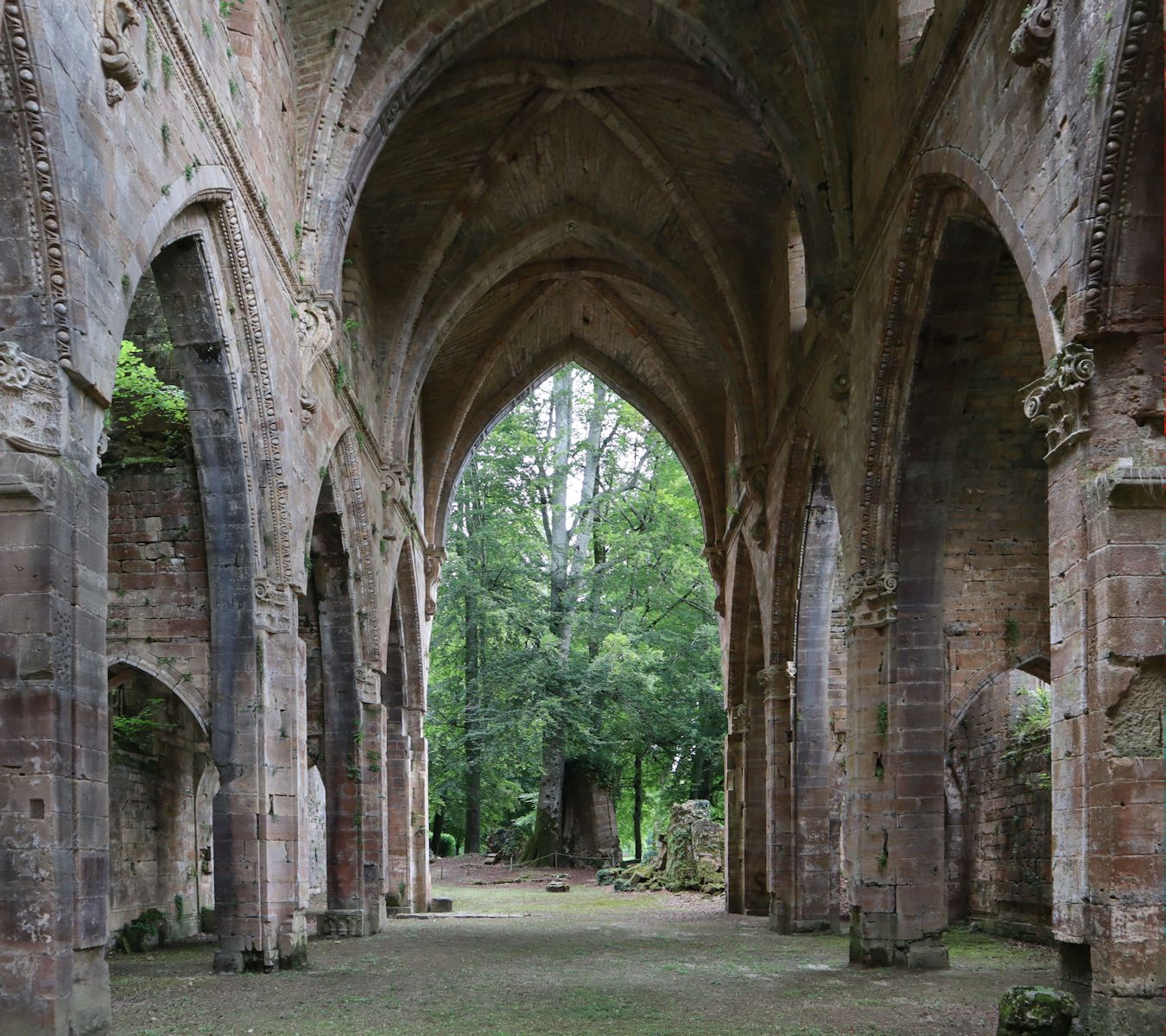 Ruine der Kirche des ehemaligen Klosters Troisfontaines